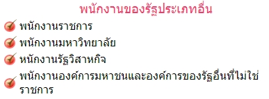 พนักงานของรัฐประเภทอื่น