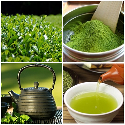 ต้มชาเขียว หรือการชงชาเขียว