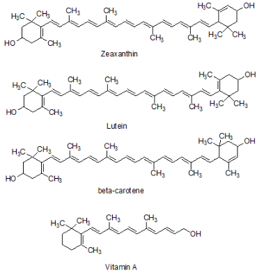 โครงสร้างสารซีแซนทิน ลูทีน บีตาแคโรทีน และวิตามินเอ