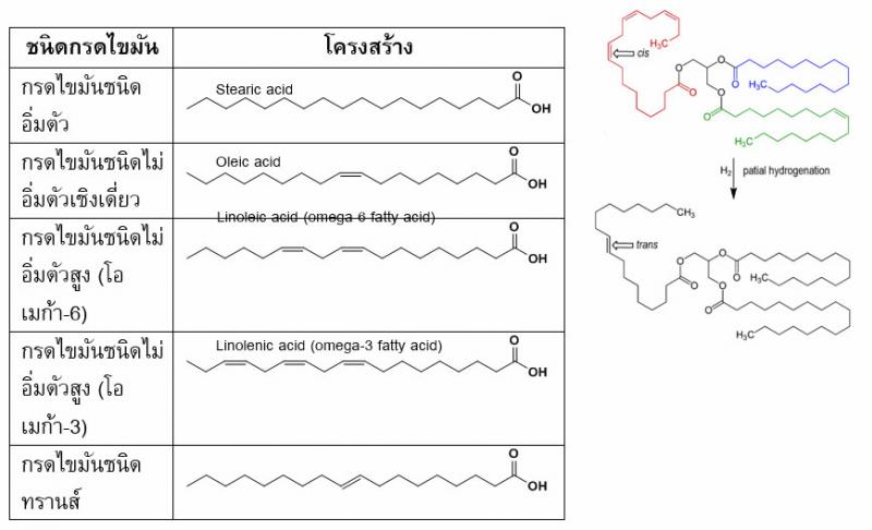 ไขมันทรานส์ คืออะไร