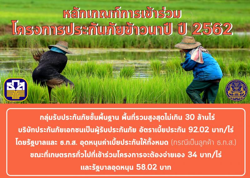 หลักเกณฑ์การเข้าร่วมโครงการประกันภัยข้าวนาปี ปี 2562