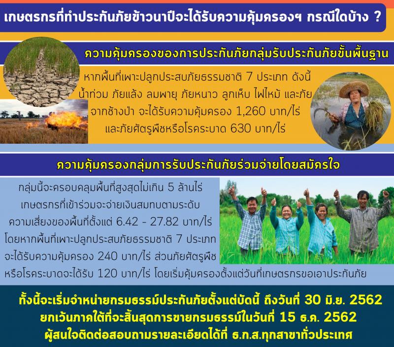 หลักเกณฑ์การเข้าร่วมโครงการประกันภัยข้าวนาปี ปี 2562