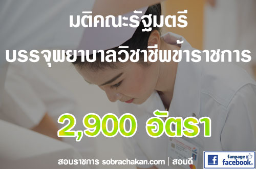 บรรจุพยาบาลวิชาชีพข้าราชการ 2562