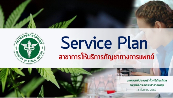 กัญชาทางการแพทย์ ใน service plan สาขาที่ 20