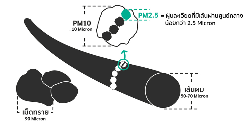 ฝุ่นพิษ PM 2.5