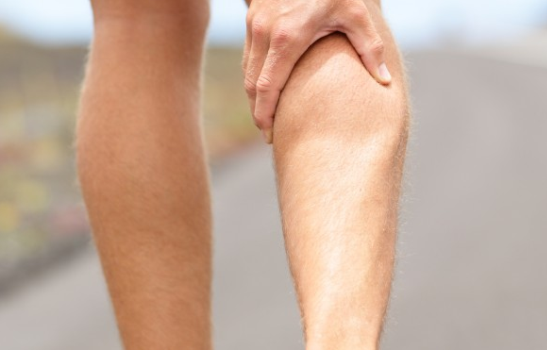 กล้ามเนื้อน่อง