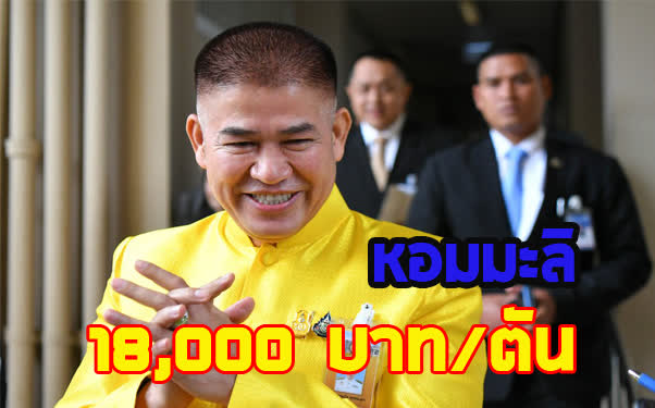 นำร่องขายข้าวหอมมะลิ 18,000 บาทต่อตัน