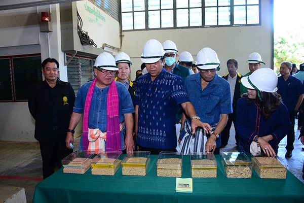 จุดรับซื้อเมล็ดพันธุ์ข้าว ปี 63