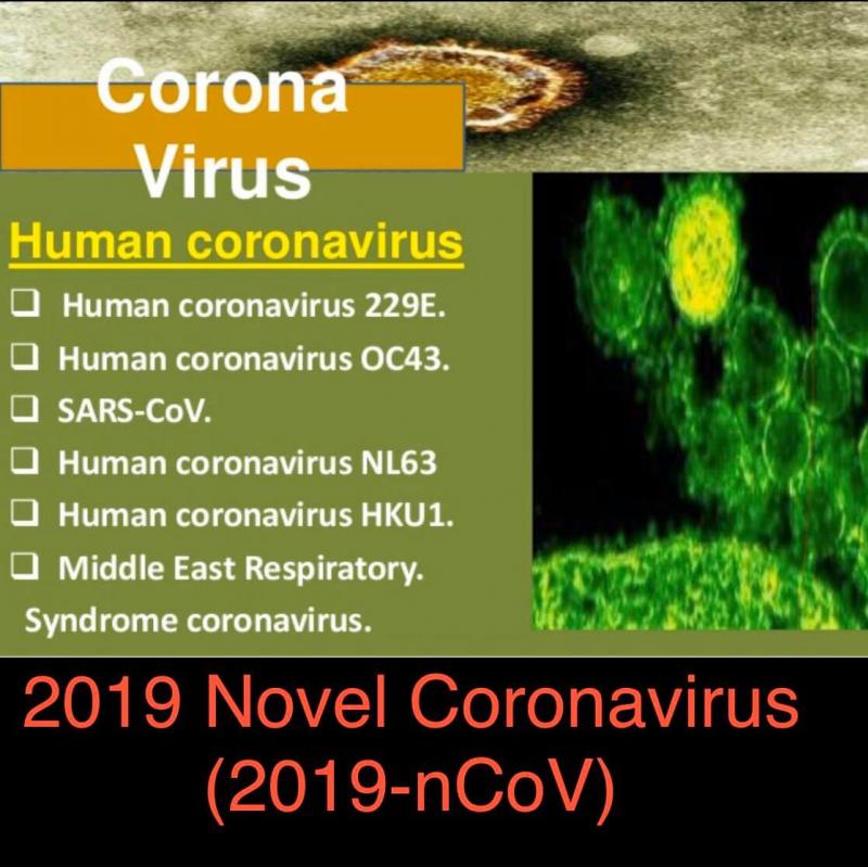 การระบาดและการป้องกันการรับเชื้อไวรัสโคโรนา