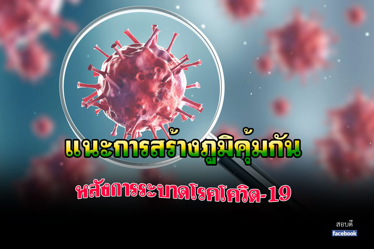 แนะการสร้างภูมิคุ้มกันแบบไม่ลดการ์ด หลังการระบาดโรคโควิด-19