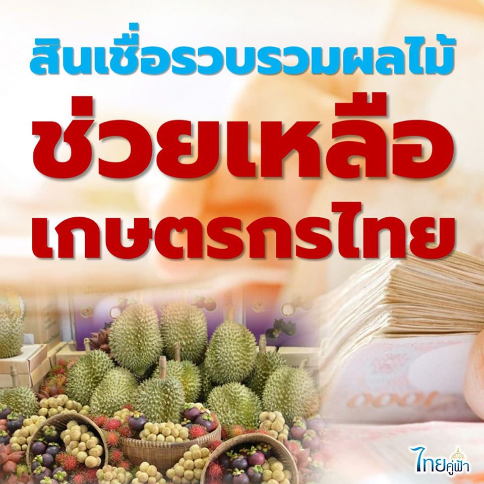 สินเชื่อรวบรวมผลไม้ ปี 63 ช่วยเหลือเกษตรกรไทย