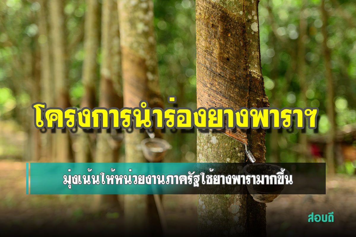 โครงการนำร่องยางพาราฯ มุ่งเน้นให้หน่วยงานภาครัฐใช้ยางพารามากขึ้น