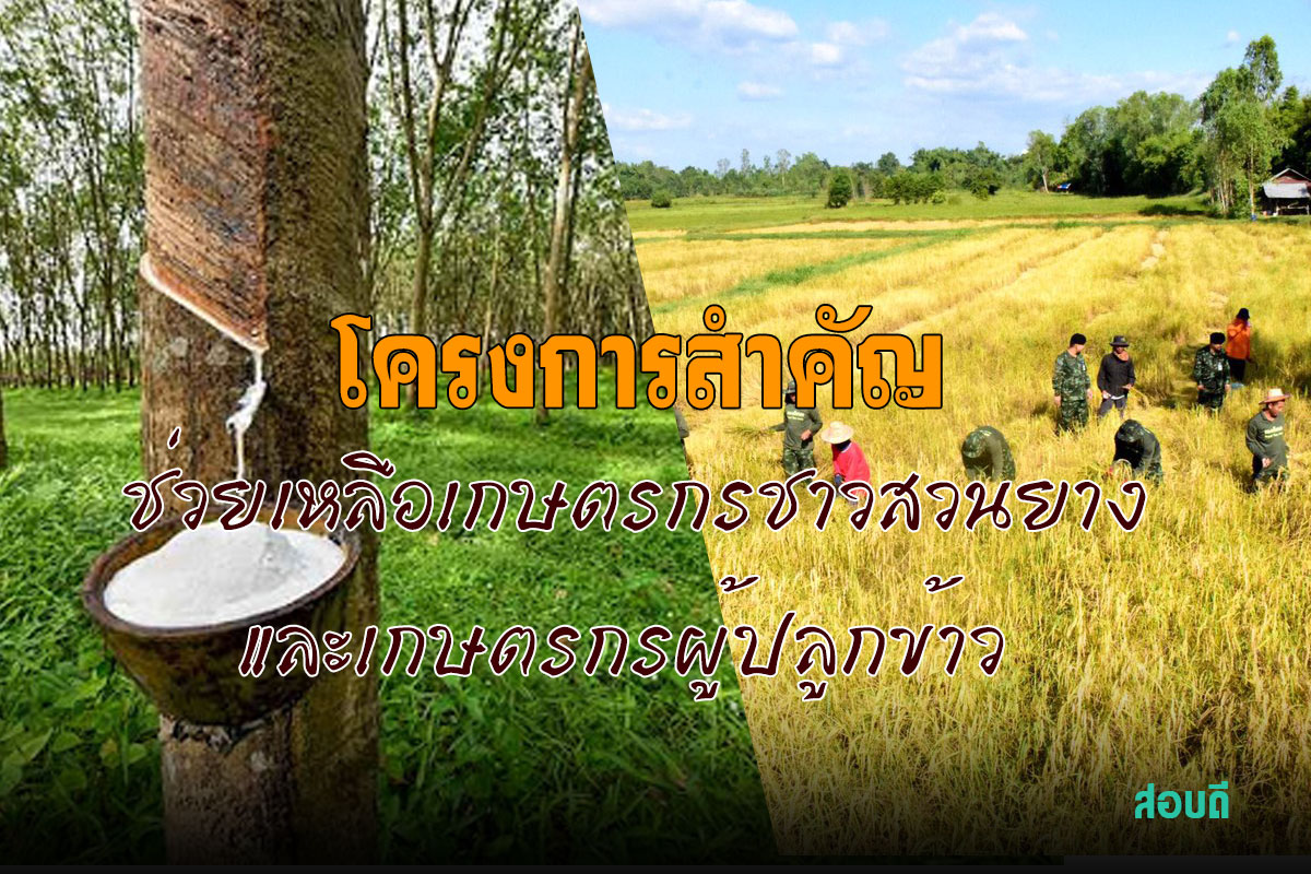 โครงการสำคัญช่วยเหลือเกษตรกรชาวสวนยางและเกษตรกรผู้ปลูกข้าว