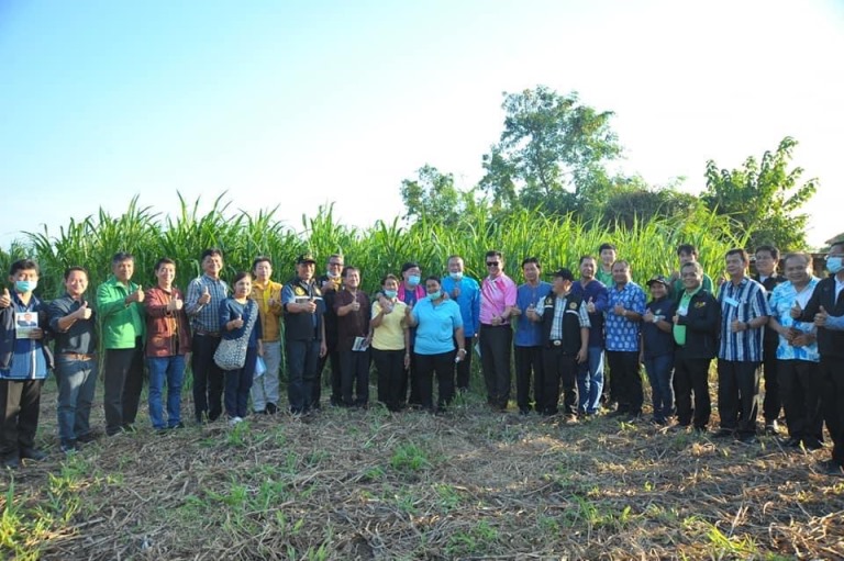 ลุ่มผู้เลี้ยงโคขุนบ้านหนองไผ่