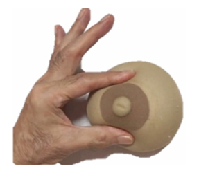 การบีบน้ำนมด้วยมือ