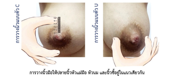 การบีบน้ำนมด้วยมือ