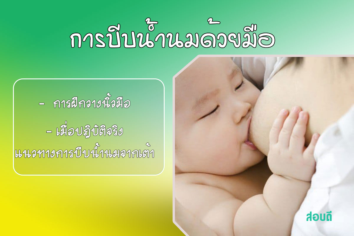 การบีบน้ำนมด้วยมือ (hand expression of breast milk)