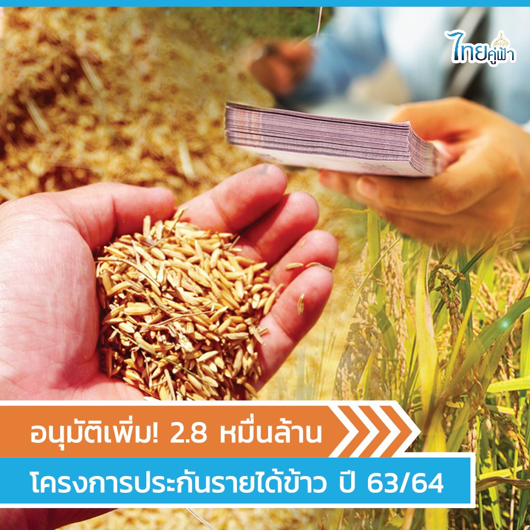 อนุมัติเพิ่ม! 2.8 หมื่นล้าน โครงการประกันรายได้ข้าว ปี 63/64