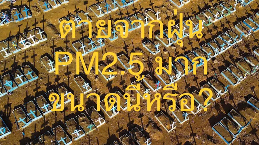 ฝุ่น PM 2.5 มากเกินไป