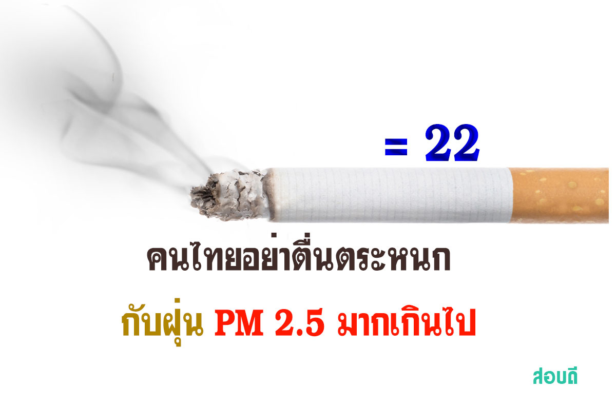 คนไทยอย่าตื่นตระหนกกับฝุ่น PM 2.5 มากเกินไป