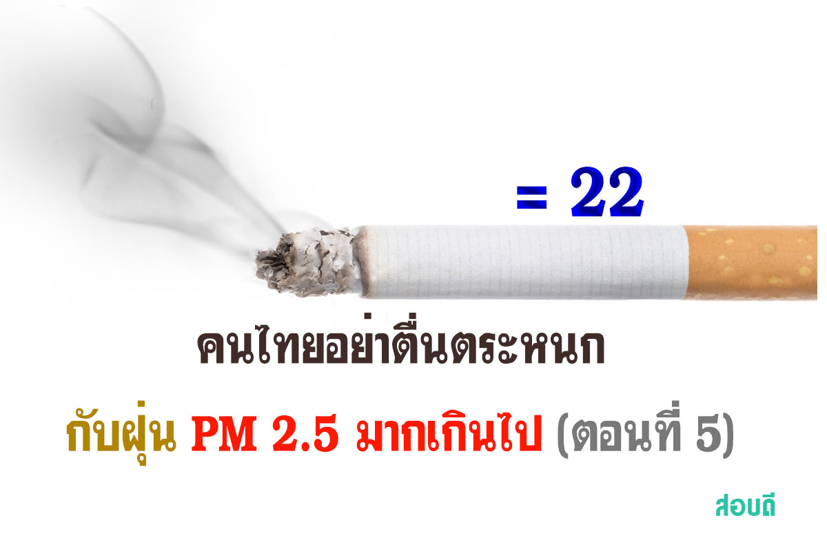 อย่าตื่นตระหนกกับฝุ่น PM 2.5 มากเกินไป