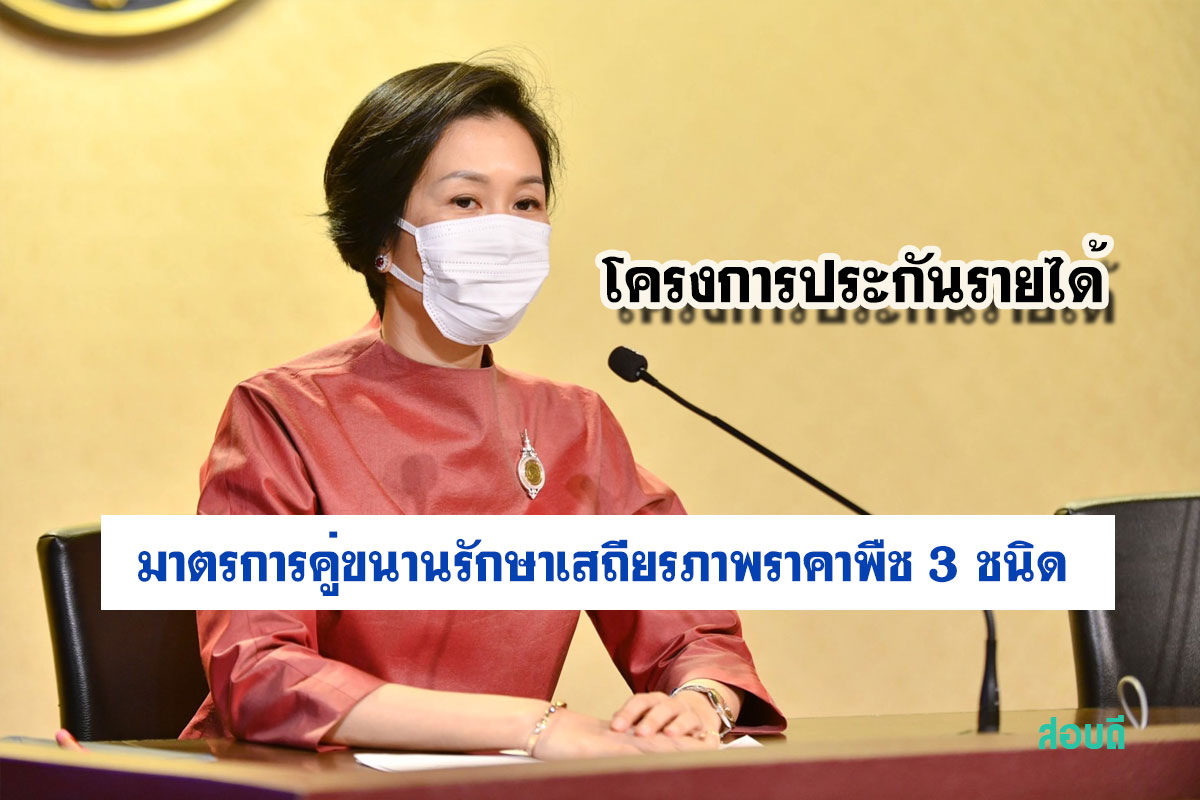 โครงการประกันรายได้และมาตรการคู่ขนานรักษาเสถียรภาพราคาพืช 3 ชนิด