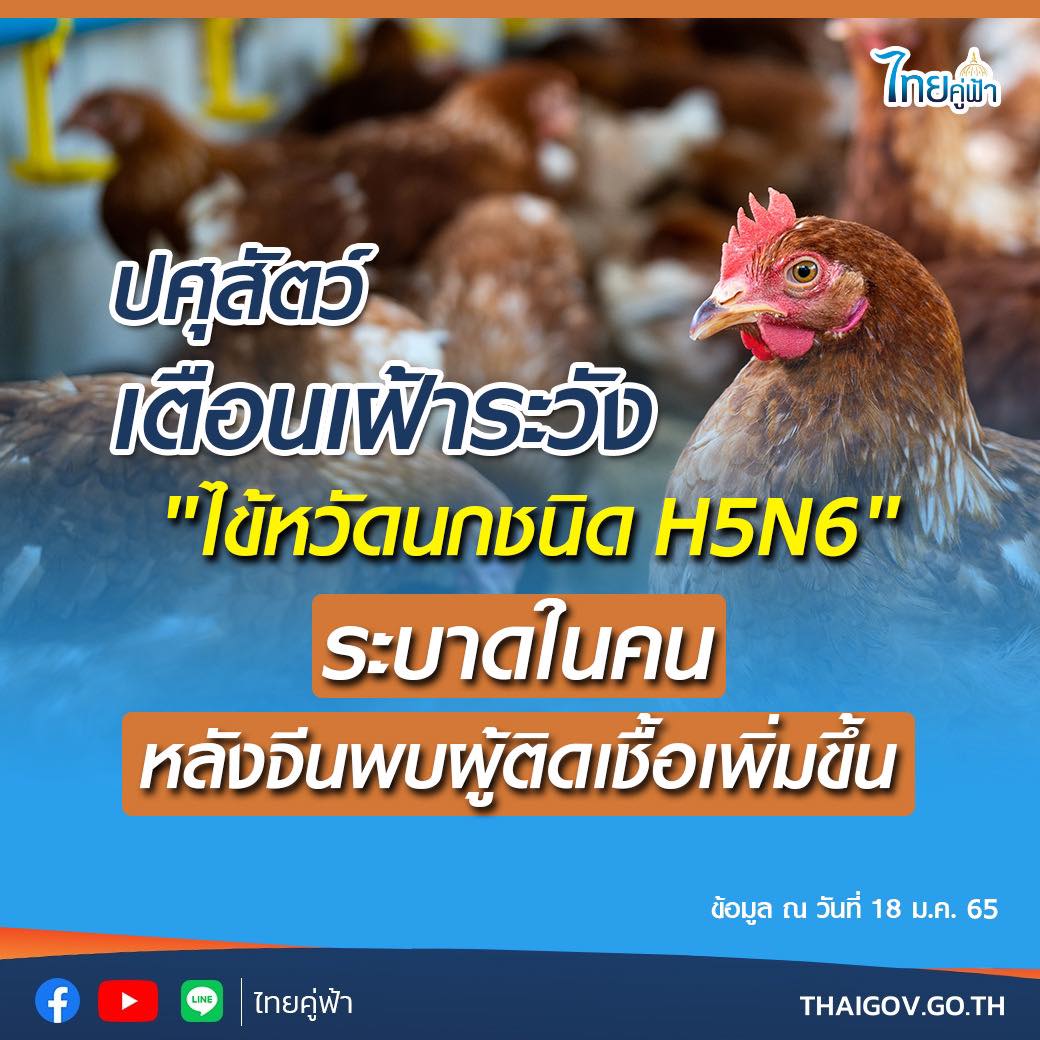 ปศุสัตว์เตือนเฝ้าระวัง ไข้หวัดนกชนิด H5N6