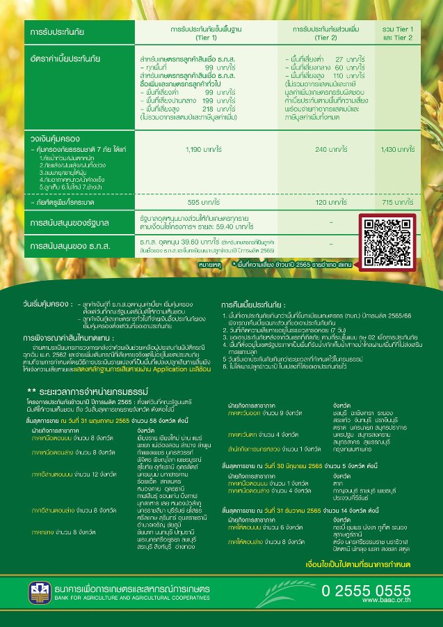 ธ.ก.ส. เปิดรับทำประกันภัยข้าวนาปีและข้าวโพดเลี้ยงสัตว์ ปีการผลิต 2565