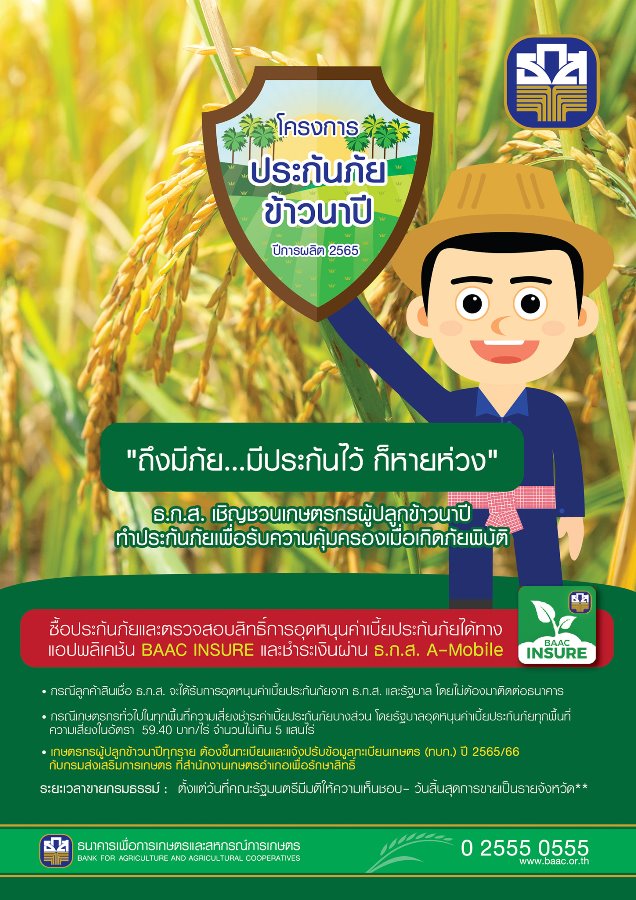 ธ.ก.ส. เปิดรับทำประกันภัยข้าวนาปีและข้าวโพดเลี้ยงสัตว์ ปีการผลิต 2565