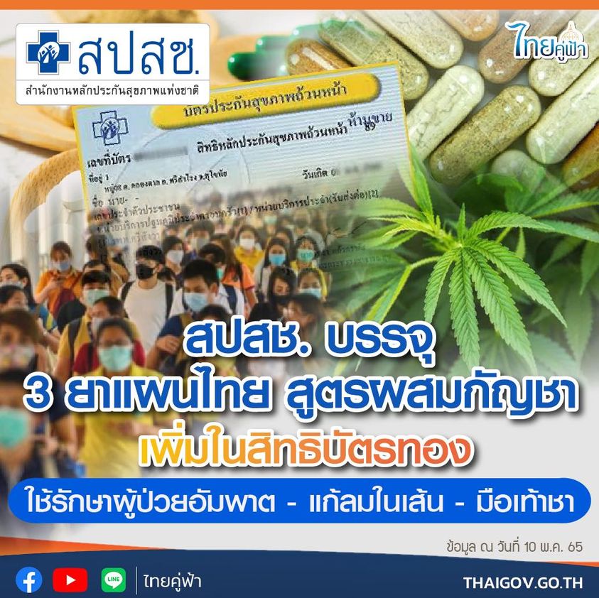 สปสช. บรรจุ 3 ยาแผนไทยสูตรผสมกัญชา เพิ่มในสิทธิบัตรทอง ใช้รักษาผู้ป่วยอัมพาต - แก้ลมในเส้น - มือเท้าชา