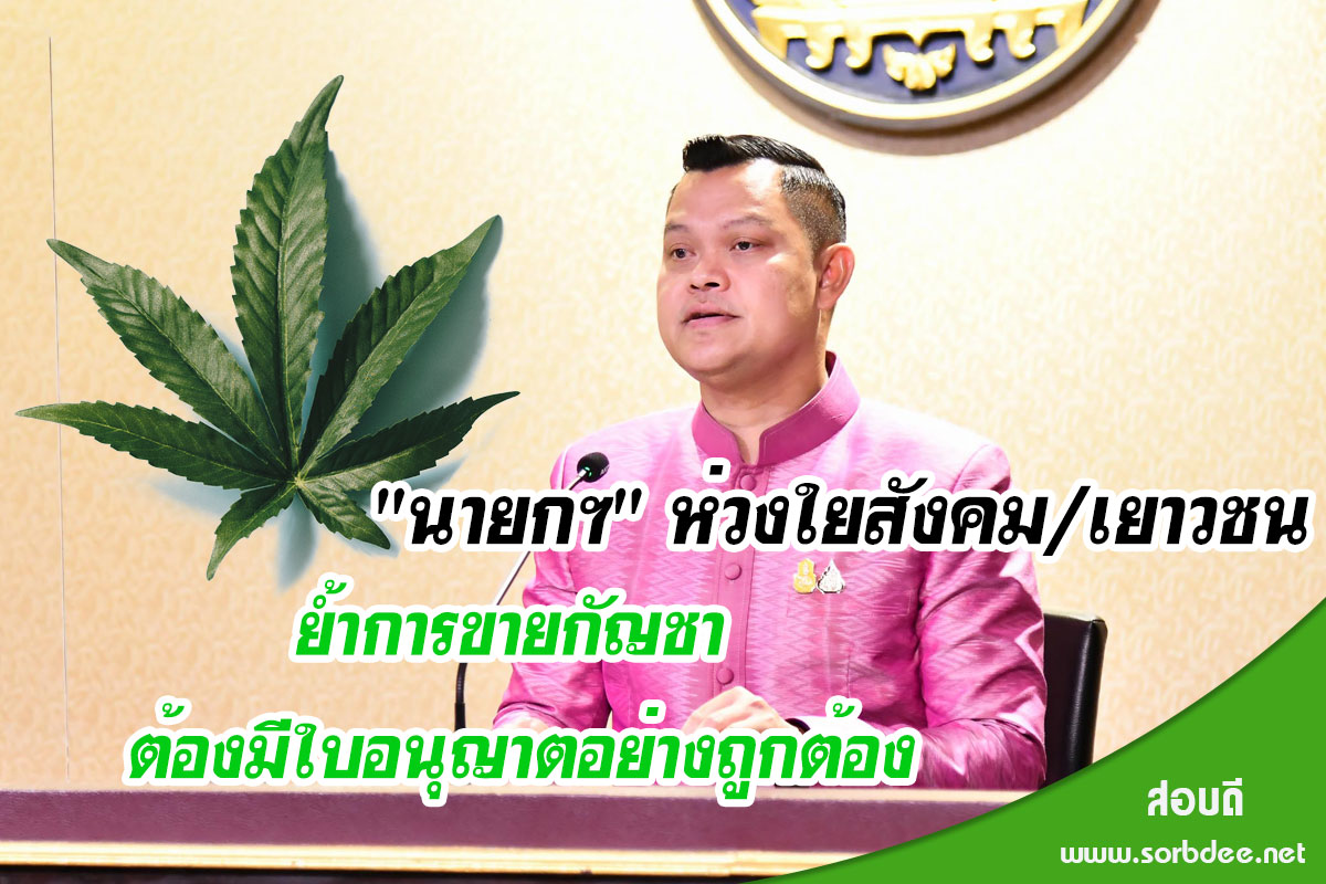 ย้ำการขายกัญชา ต้องมีใบอนุญาตอย่างถูกต้อง