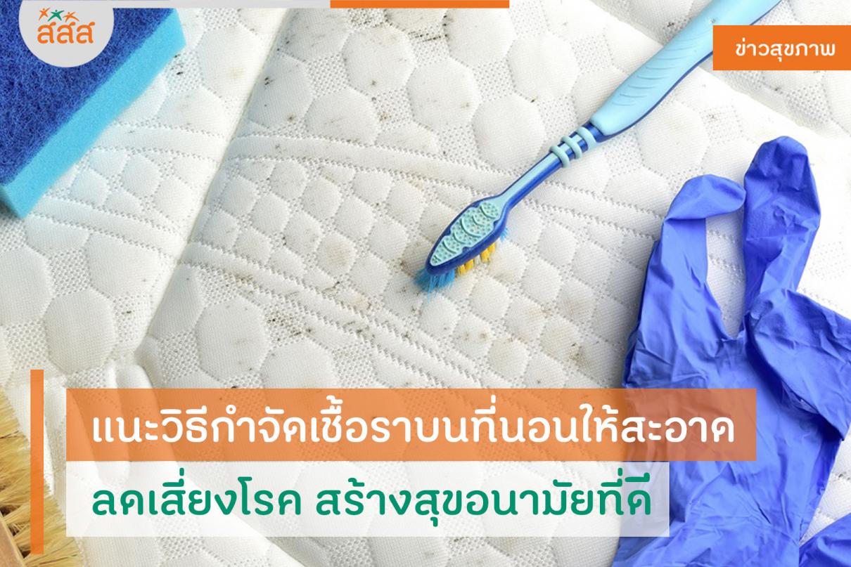 แนะวิธีกำจัดเชื้อราบนที่นอนให้สะอาด ลดเสี่ยงโรค สร้างสุขอนามัยที่ดี