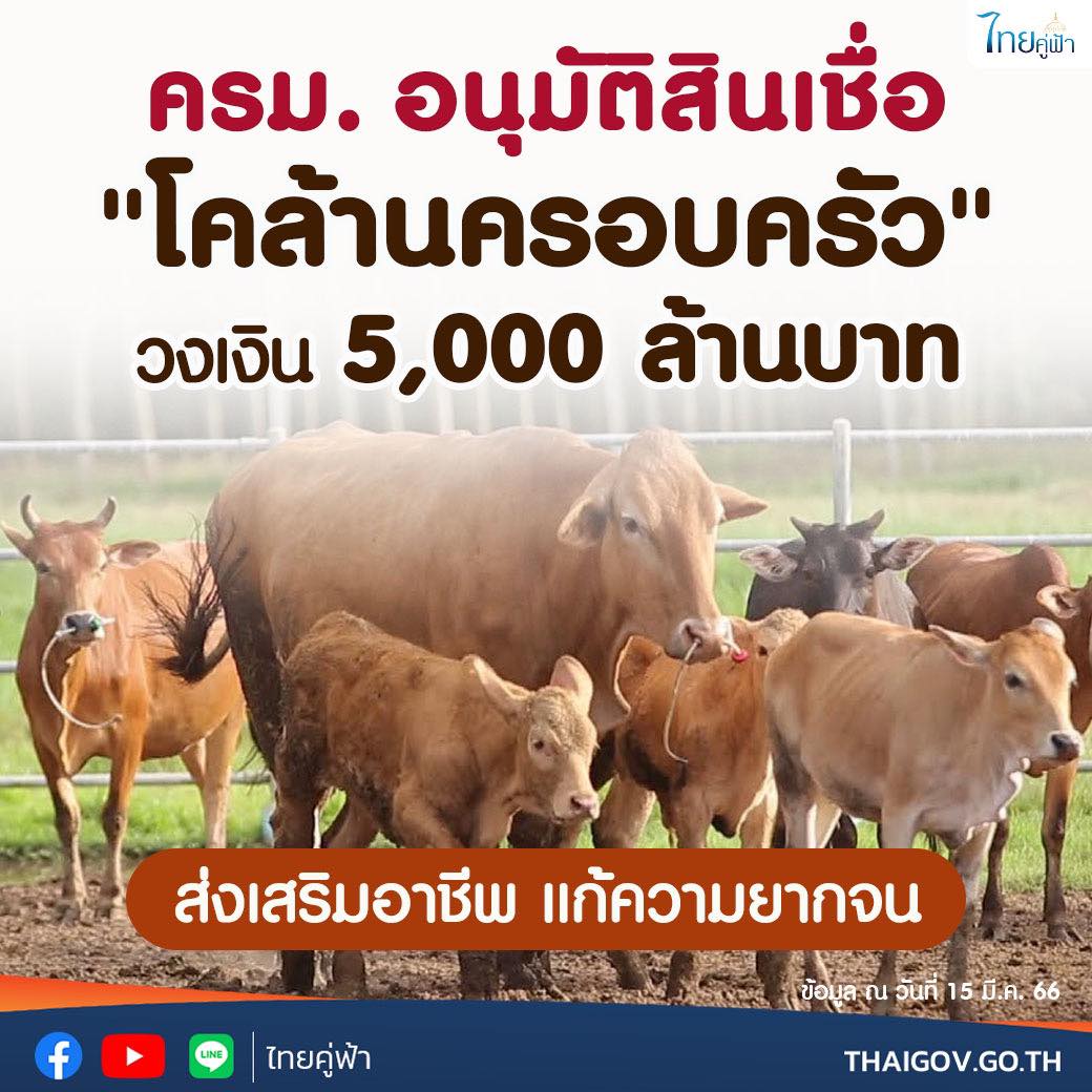 สินเชื่อโคล้านครอบครัว