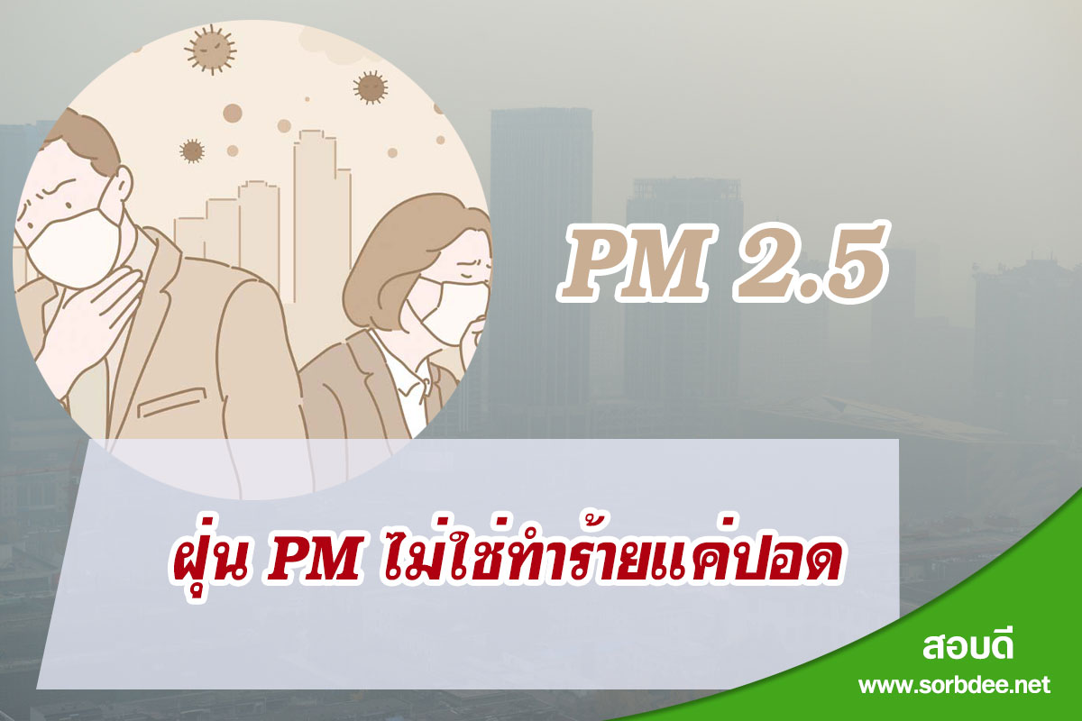 ไม่ใช่แค่ปอด หัวใจก็โดนทำร้ายจากฝุ่น PM 2.5