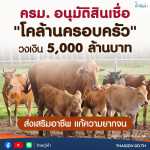 ครม. อนุมัติสินเชื่อ 